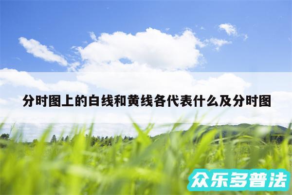 分时图上的白线和黄线各代表什么及分时图