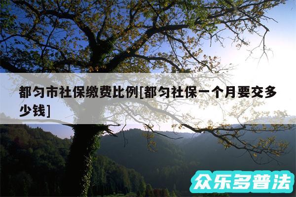 都匀市社保缴费比例及都匀社保一个月要交多少钱