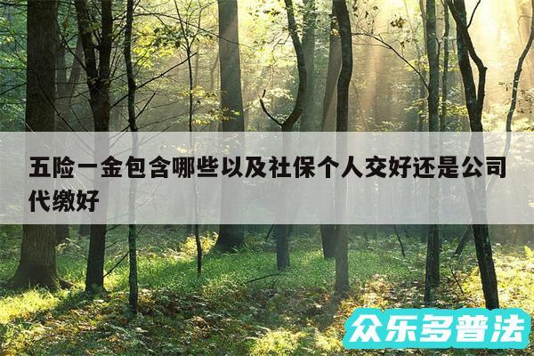 五险一金包含哪些以及社保个人交好还是公司代缴好