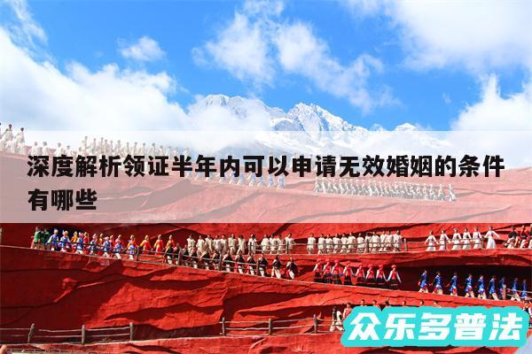 深度解析领证半年内可以申请无效婚姻的条件有哪些