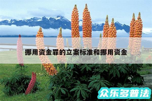 挪用资金罪的立案标准和挪用资金