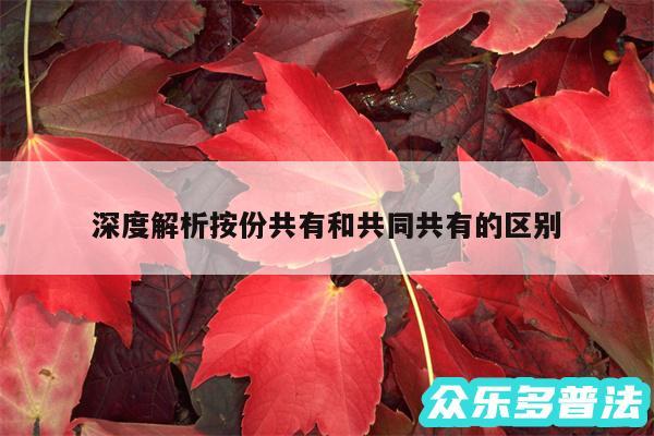 深度解析按份共有和共同共有的区别