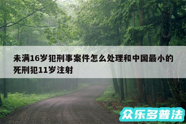 未满16岁犯刑事案件怎么处理和中国最小的死刑犯11岁注射