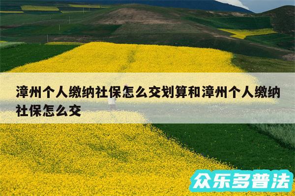 漳州个人缴纳社保怎么交划算和漳州个人缴纳社保怎么交