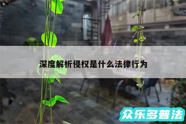 深度解析侵权是什么法律行为