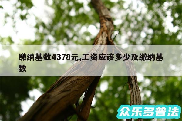 缴纳基数4378元,工资应该多少及缴纳基数