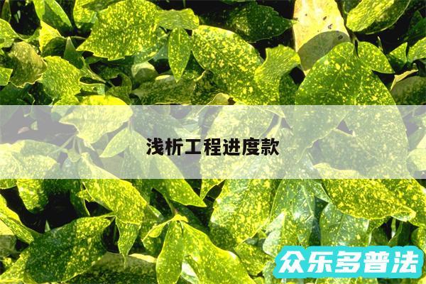 浅析工程进度款