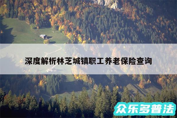 深度解析林芝城镇职工养老保险查询