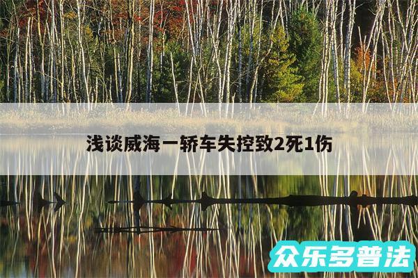 浅谈威海一轿车失控致2死1伤