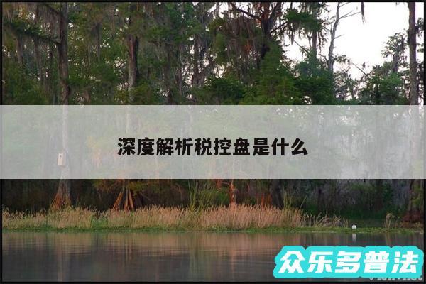 深度解析税控盘是什么