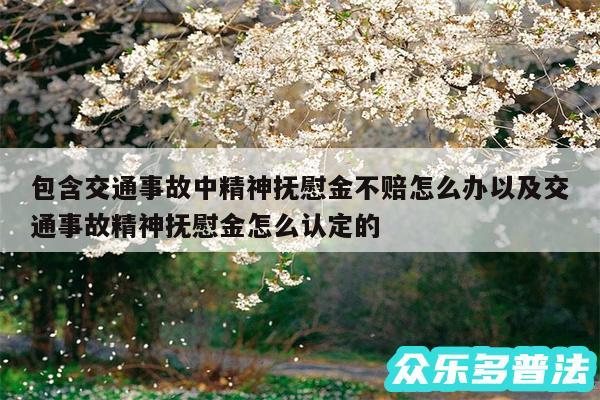 包含交通事故中精神抚慰金不赔怎么办以及交通事故精神抚慰金怎么认定的
