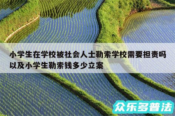 小学生在学校被社会人士勒索学校需要担责吗以及小学生勒索钱多少立案