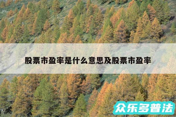 股票市盈率是什么意思及股票市盈率