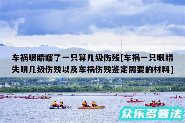 车祸眼睛瞎了一只算几级伤残及车祸一只眼睛失明几级伤残以及车祸伤残鉴定需要的材料