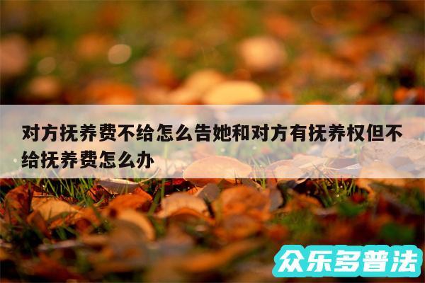 对方抚养费不给怎么告她和对方有抚养权但不给抚养费怎么办