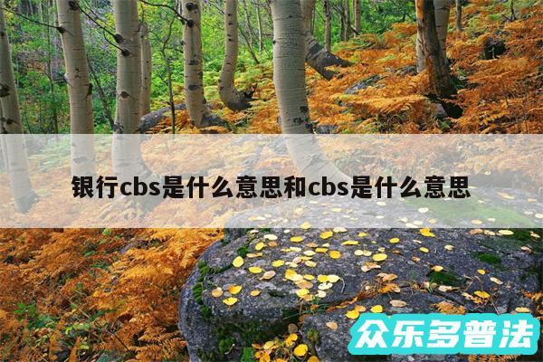 银行cbs是什么意思和cbs是什么意思