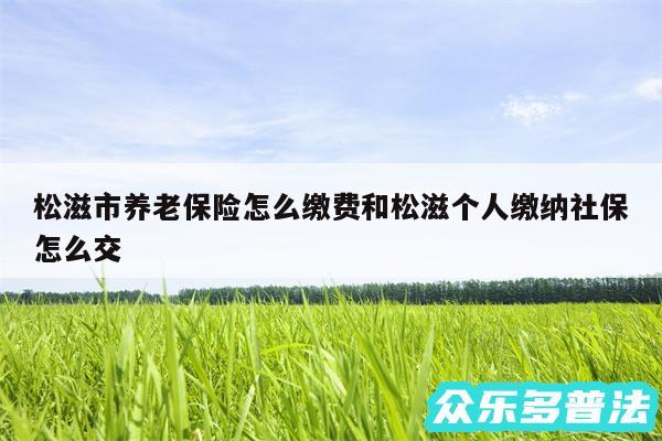 松滋市养老保险怎么缴费和松滋个人缴纳社保怎么交