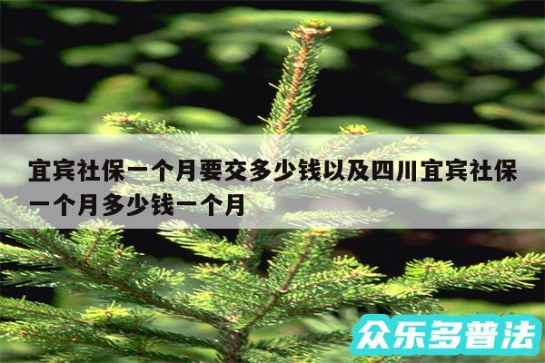 宜宾社保一个月要交多少钱以及四川宜宾社保一个月多少钱一个月