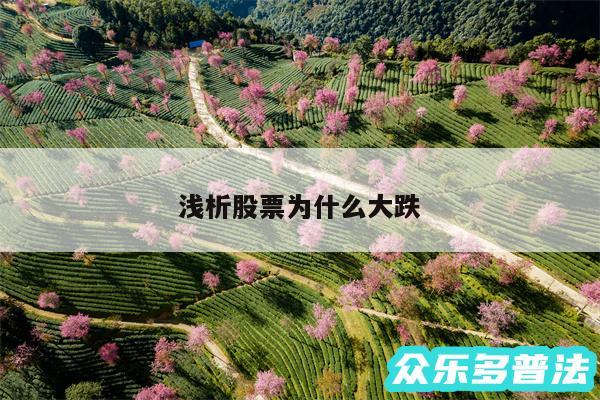 浅析股票为什么大跌