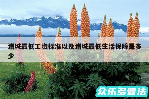 诸城最低工资标准以及诸城最低生活保障是多少