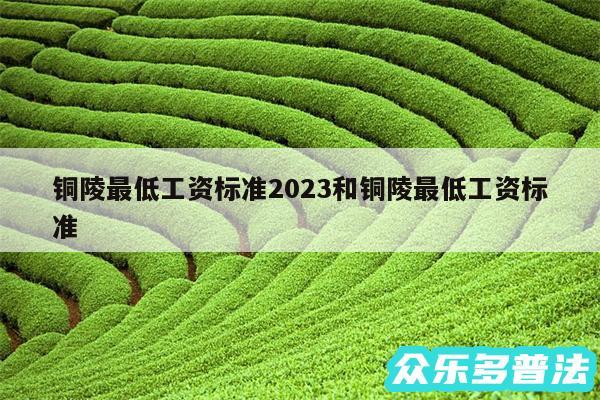 铜陵最低工资标准2024和铜陵最低工资标准