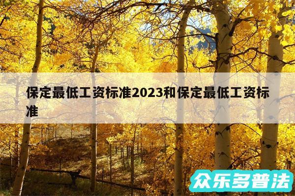 保定最低工资标准2024和保定最低工资标准