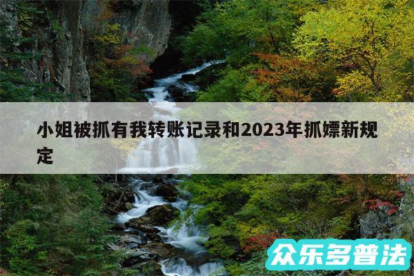 小姐被抓有我转账记录和2024年抓嫖新规定