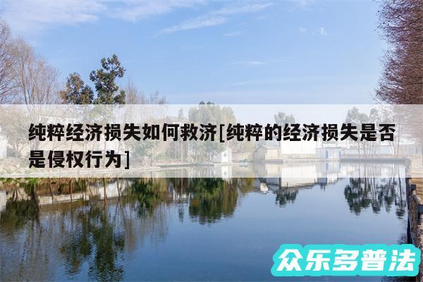 纯粹经济损失如何救济及纯粹的经济损失是否是侵权行为