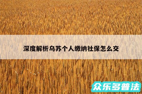 深度解析乌苏个人缴纳社保怎么交