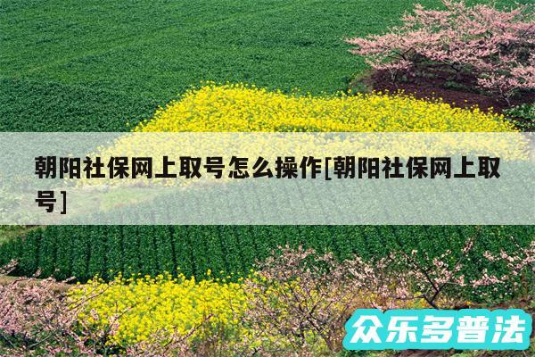 朝阳社保网上取号怎么操作及朝阳社保网上取号