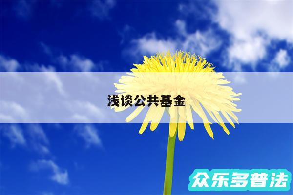 浅谈公共基金