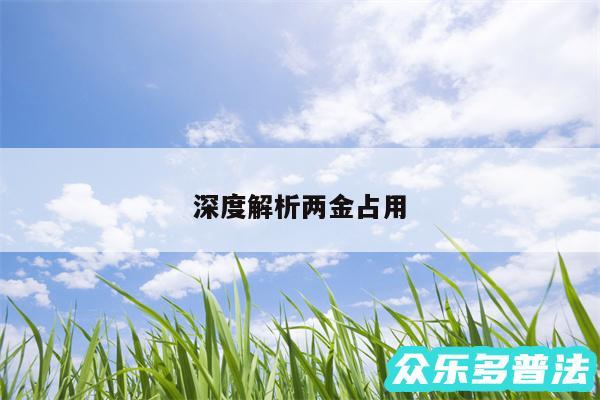 深度解析两金占用