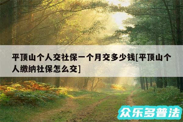 平顶山个人交社保一个月交多少钱及平顶山个人缴纳社保怎么交