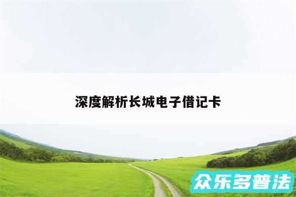 深度解析长城电子借记卡