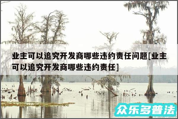 业主可以追究开发商哪些违约责任问题及业主可以追究开发商哪些违约责任