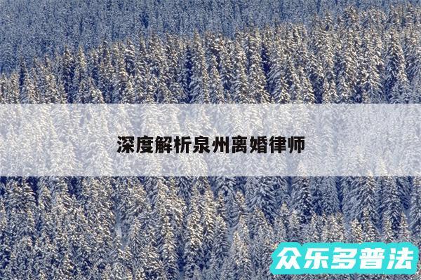 深度解析泉州离婚律师