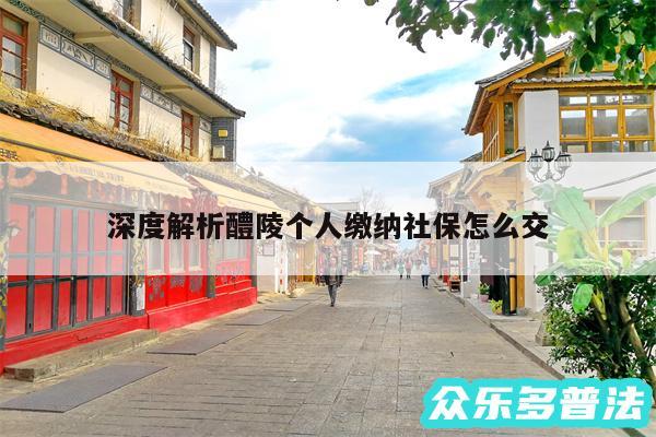 深度解析醴陵个人缴纳社保怎么交