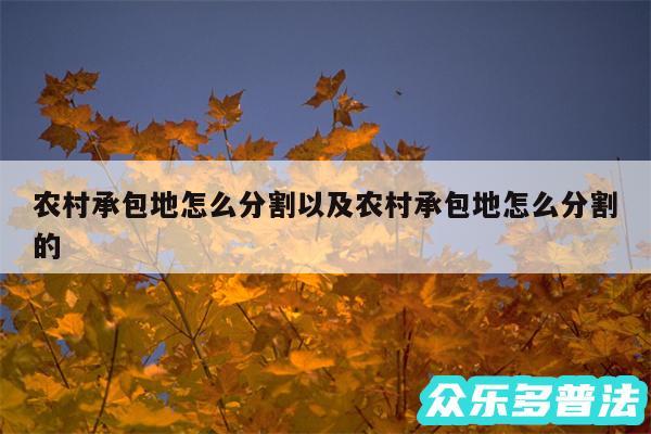 农村承包地怎么分割以及农村承包地怎么分割的