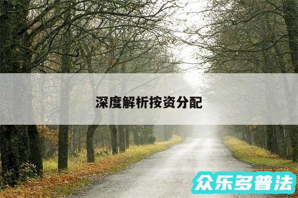 深度解析按资分配