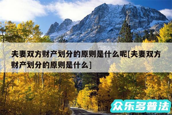 夫妻双方财产划分的原则是什么呢及夫妻双方财产划分的原则是什么