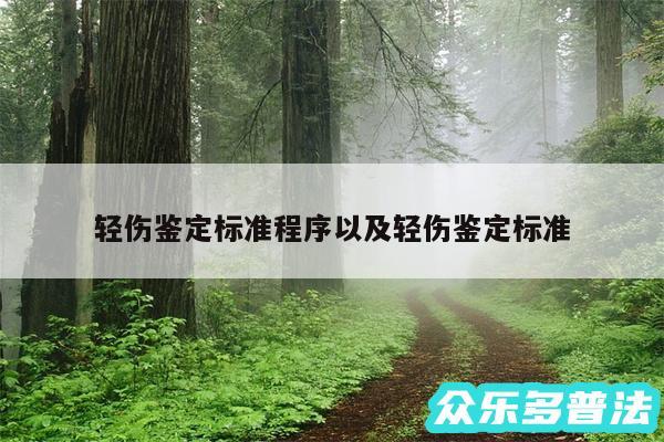 轻伤鉴定标准程序以及轻伤鉴定标准