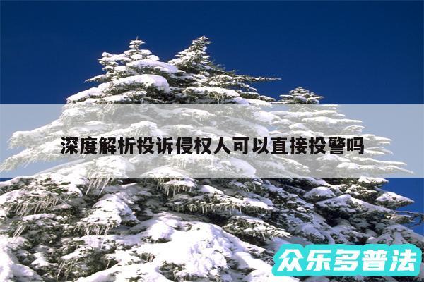 深度解析投诉侵权人可以直接投警吗