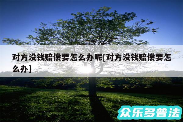 对方没钱赔偿要怎么办呢及对方没钱赔偿要怎么办