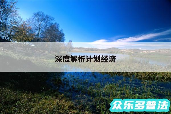 深度解析计划经济