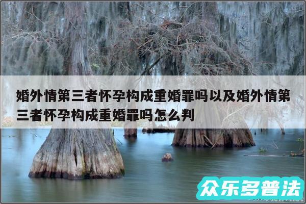 婚外情第三者怀孕构成重婚罪吗以及婚外情第三者怀孕构成重婚罪吗怎么判