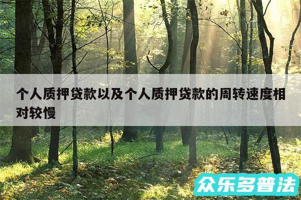 个人质押贷款以及个人质押贷款的周转速度相对较慢