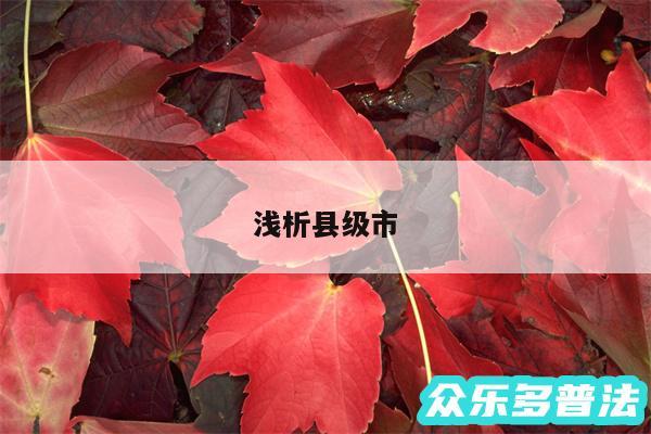 浅析县级市