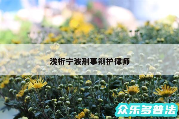 浅析宁波刑事辩护律师
