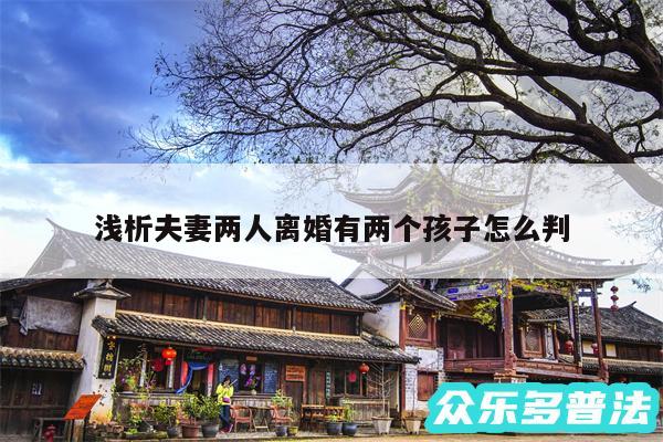 浅析夫妻两人离婚有两个孩子怎么判