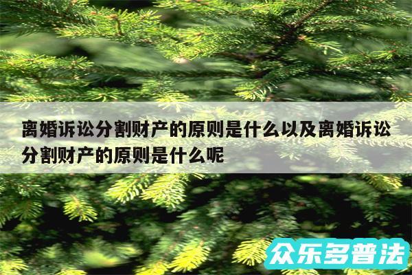 离婚诉讼分割财产的原则是什么以及离婚诉讼分割财产的原则是什么呢